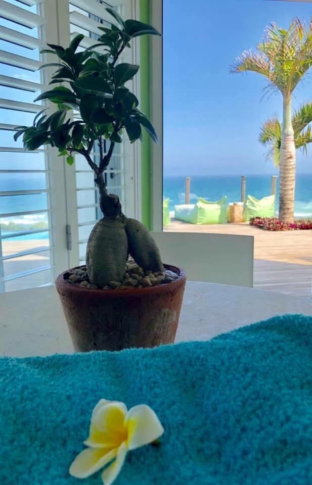 Nakai Beach Homestay Trafalgar 外观 照片